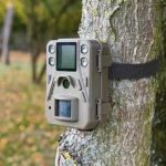 Caratteristiche e funzioni delle Fototrappole