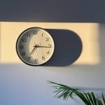 microcamere spia