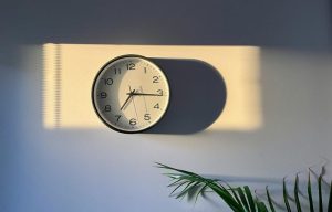 microcamere spia