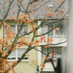 telecamere per esterno